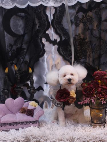 20231019あんちゃん